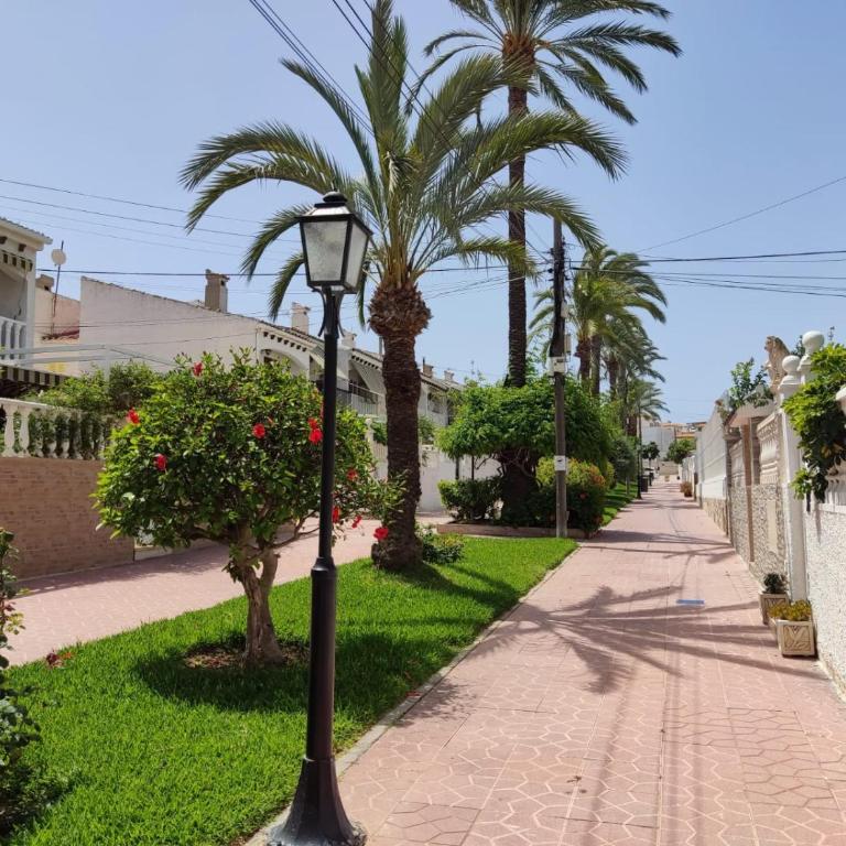 Carabassi Breeze 1 - Pool & Beach - Apartamento de 1 dormitorio - 30
