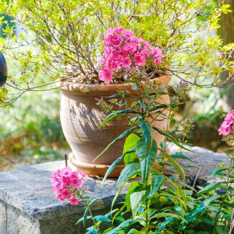 Un sejour à la Campagne Speracedes - Villa - Vue sur Jardin - 19