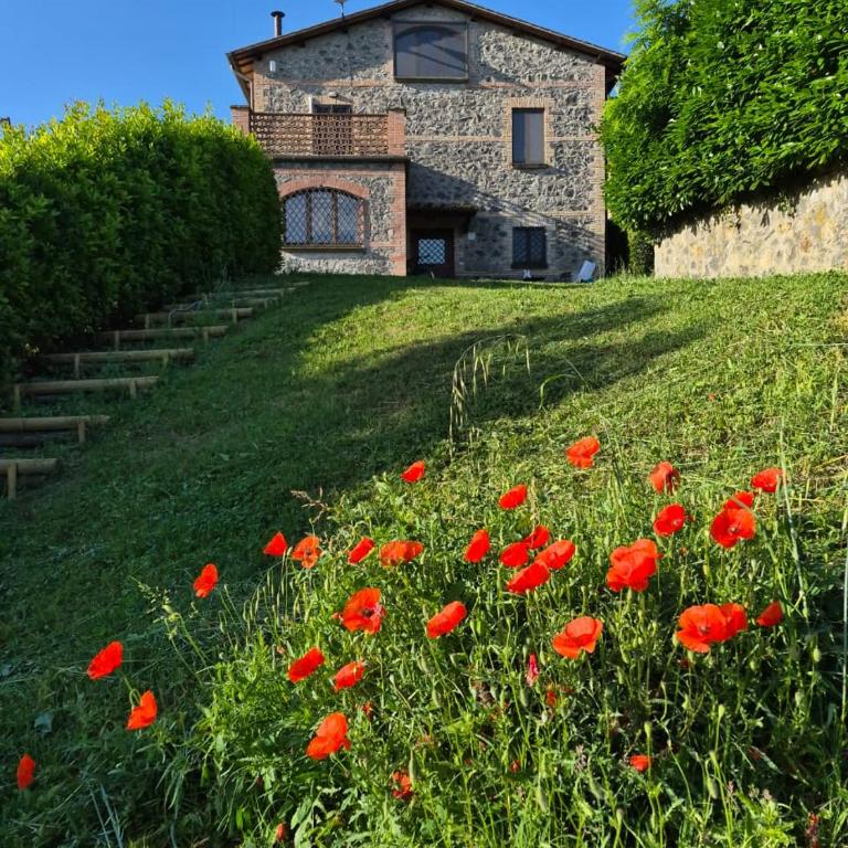 Villa Talleh - Villa con 3 Camere da Letto - 1