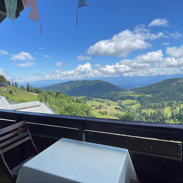 Fernblick Appartement Simonhöhe - Apartment mit 2 Schlafzimmern - 23