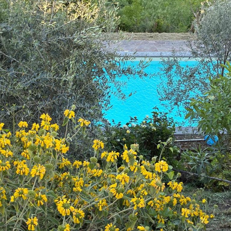 Villa Talleh - Villa con 3 Camere da Letto - 20