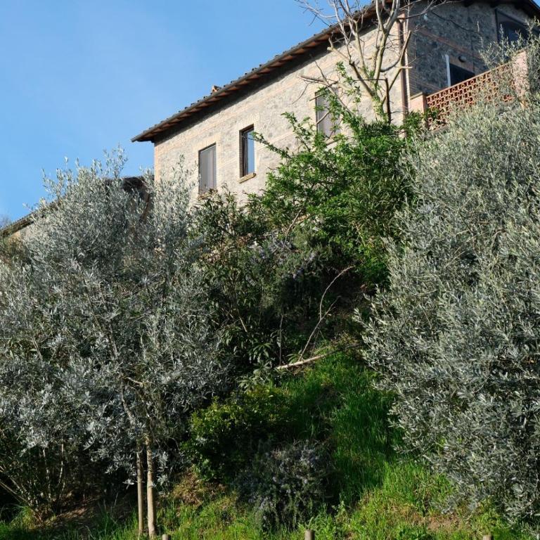 Villa Talleh - Villa con 3 Camere da Letto - 2