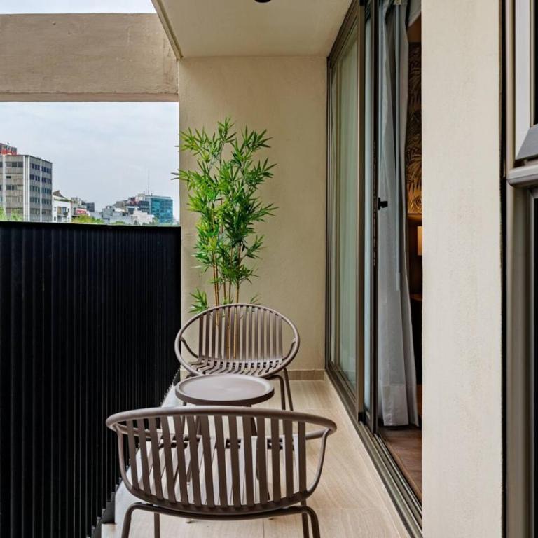 Spacious Condesa Apartment Near Cafes and Parks - Appartement - 25