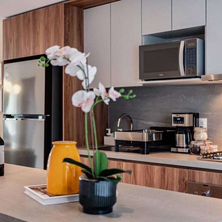 Spacious Condesa Apartment Near Cafes and Parks - Appartement - 28