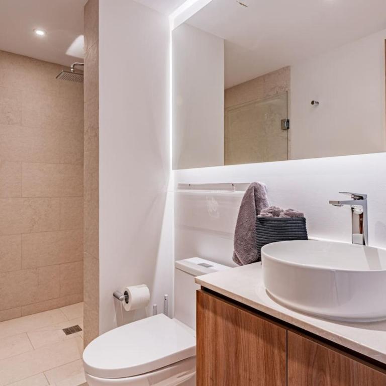 Condesa Garden House and Rooftop Avenida Nuevo Leon - Apartment - 62