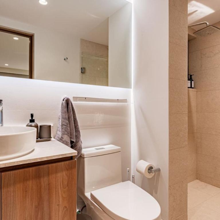 Condesa Garden House and Rooftop Avenida Nuevo Leon - Apartment - 67