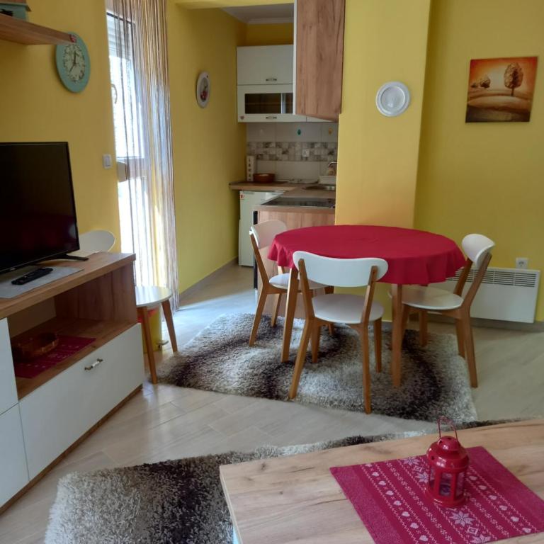 Divčibare apartmani Gavrić - Studio Apartman - 6