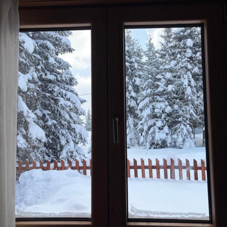 Vikendica Dunja - Vacation Home - 17