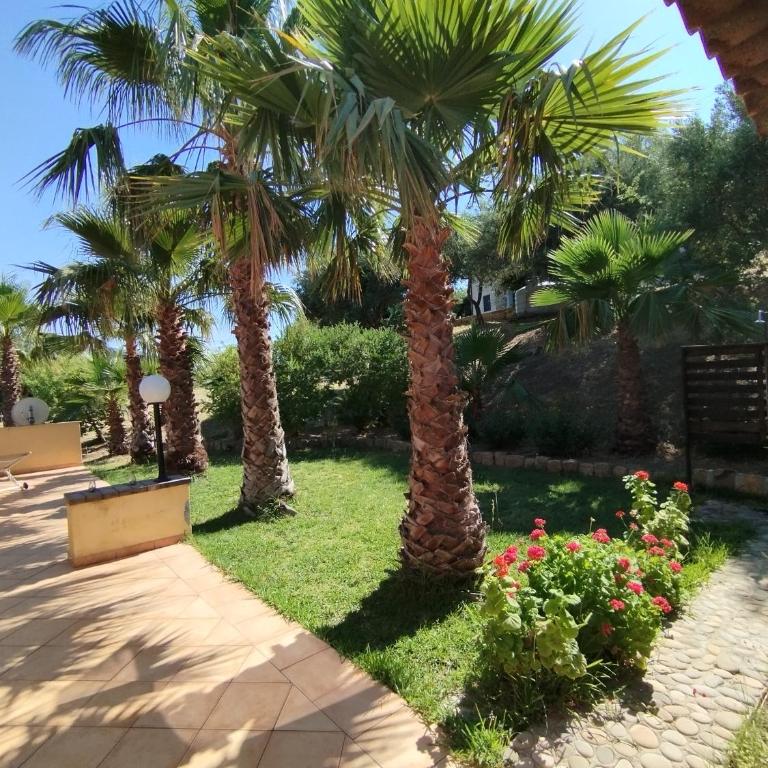 Casa delle palme - Appartement 2 Chambres - 7