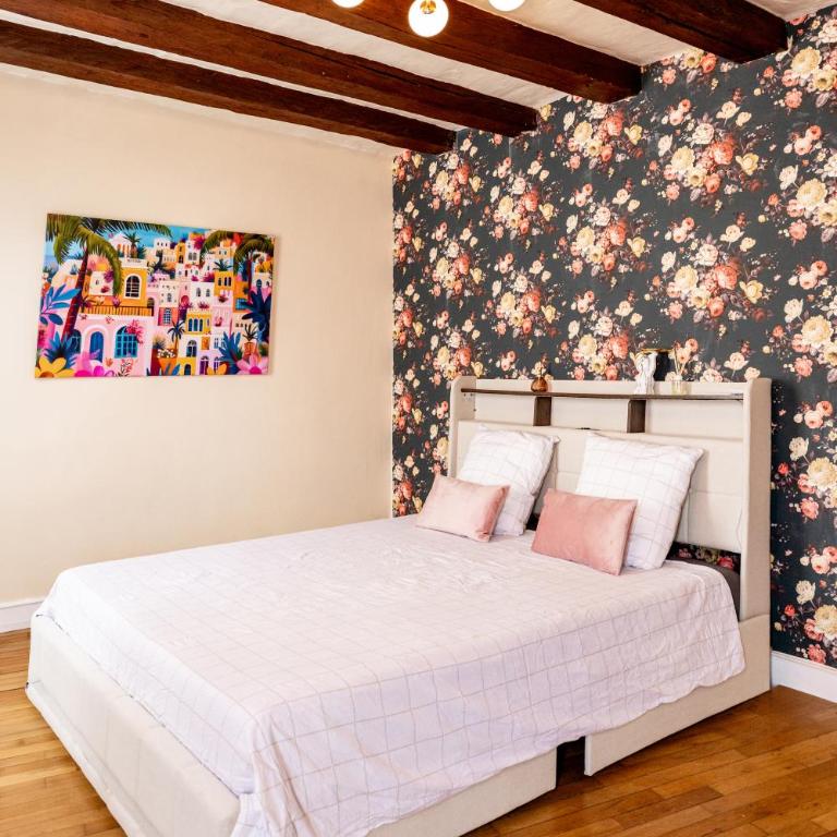 Rosez-Moi! - Charming apartment in Tours - One-Bedroom Apartment - 19