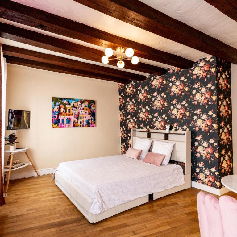 Rosez-Moi! - Charming apartment in Tours - One-Bedroom Apartment - 1