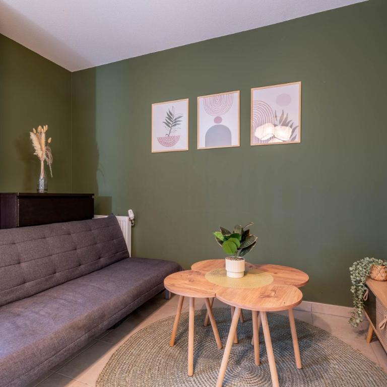 Le Soyeux Rhônexpress Lyon - Apartamento de 3 dormitorios - 26