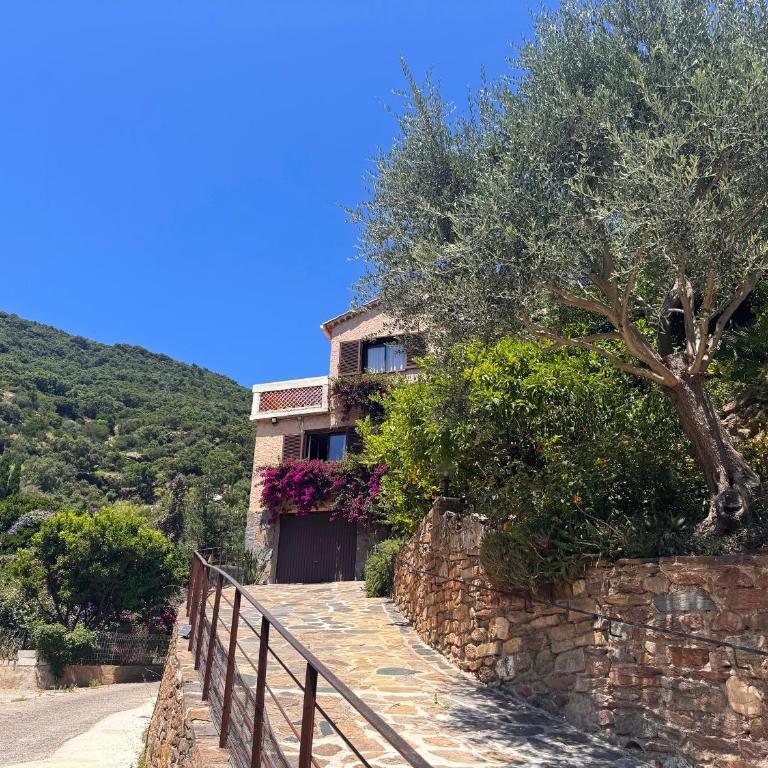 Grand T4 climatisé avec terrasse et Parking à Cavalaire-sur-Mer - Three-Bedroom Apartment - 1