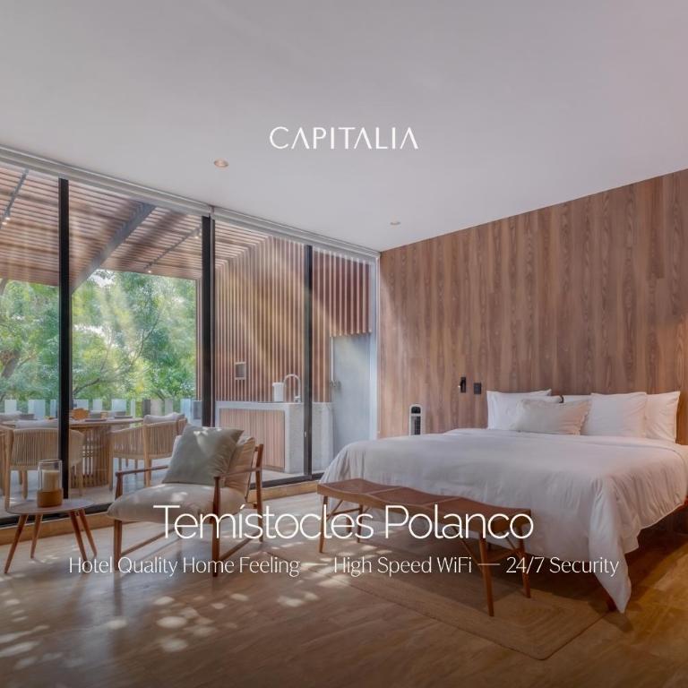 Capitalia Temistocles Polanco - Estudio con terraza - 3