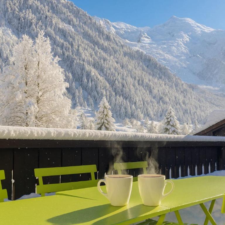 In the Heart of Chamonix duplex view Mont-Blanc - Appartement - 4