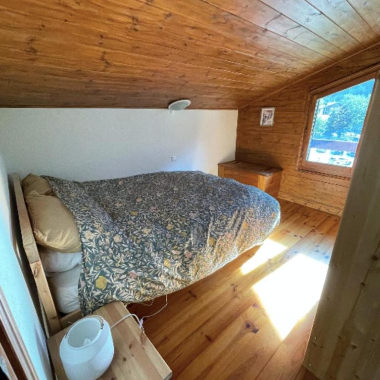 In the Heart of Chamonix duplex view Mont-Blanc - Appartement - 24