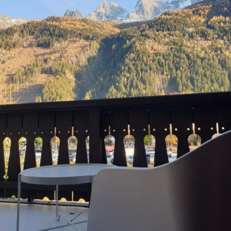 In the Heart of Chamonix duplex view Mont-Blanc - Appartement - 29