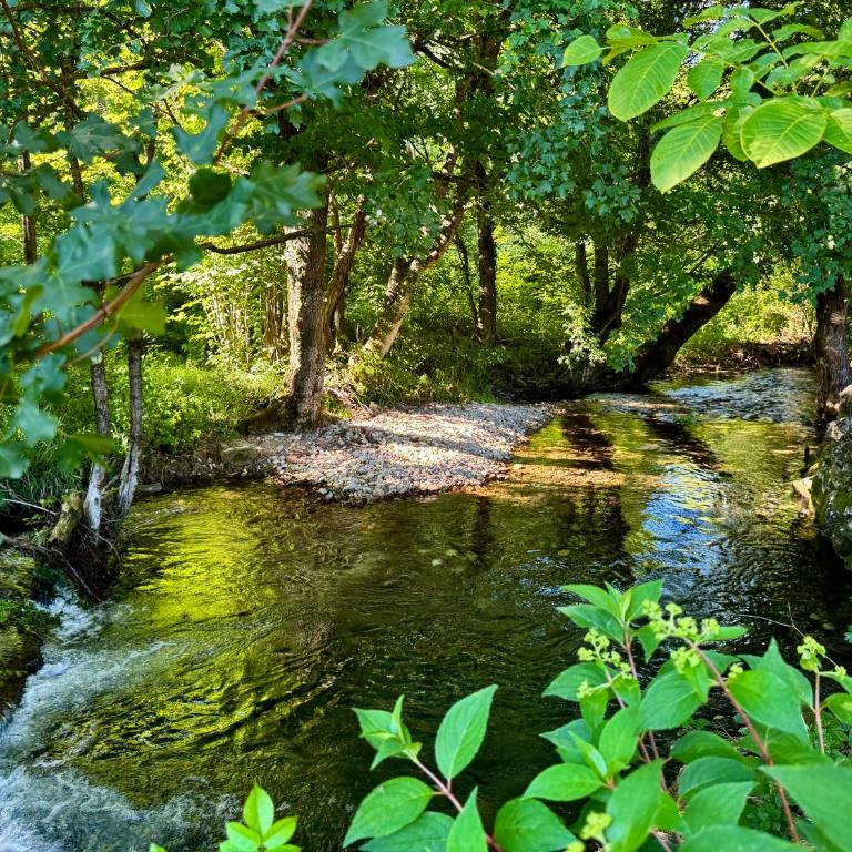 Pine River Dobrenica - Three-Bedroom Chalet - 7