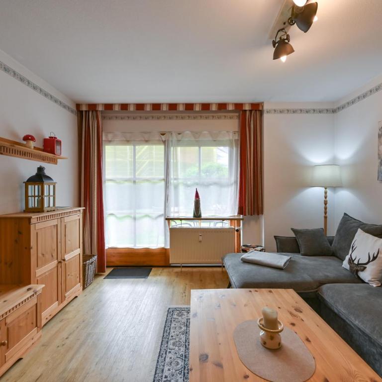 Haus Sonnenwinkel 2-Raum-Wohnung Bachstelze - Appartamento con Terrazza - 1