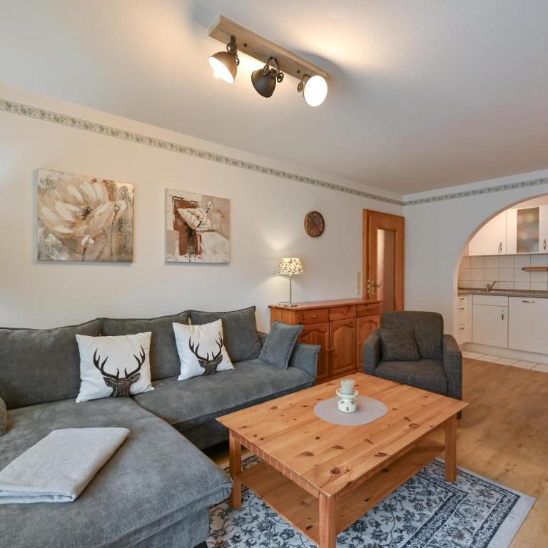 Haus Sonnenwinkel 2-Raum-Wohnung Bachstelze - Appartamento con Terrazza - 14