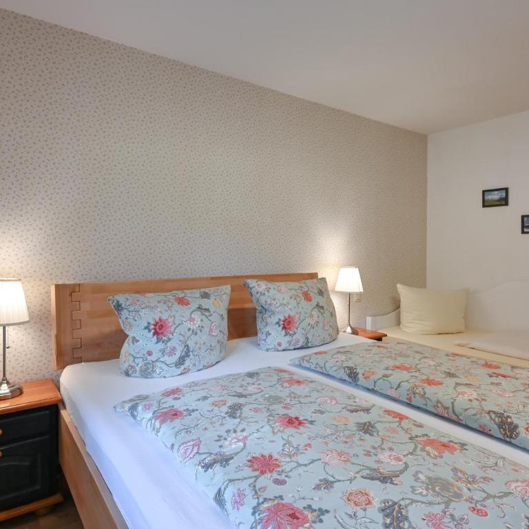 Haus Sonnenwinkel 2-Raum-Wohnung Bachstelze - Appartamento con Terrazza - 26