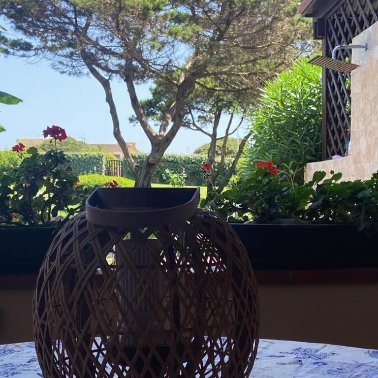 Villetta con giardino sulla Spiaggia della Pelosa - Casa con 2 Camere da Letto - 6