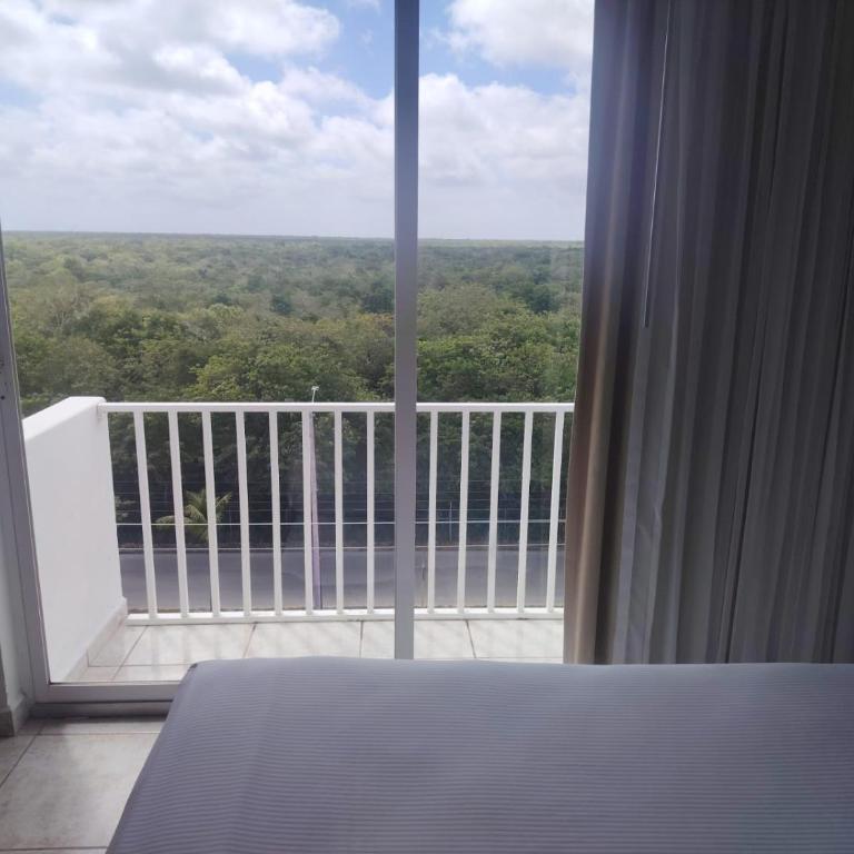 Coral Princess Hotel & Dive Resort - Superior Zimmer Dschungel-Abenteuer mit Kingsize-Bett - 12
