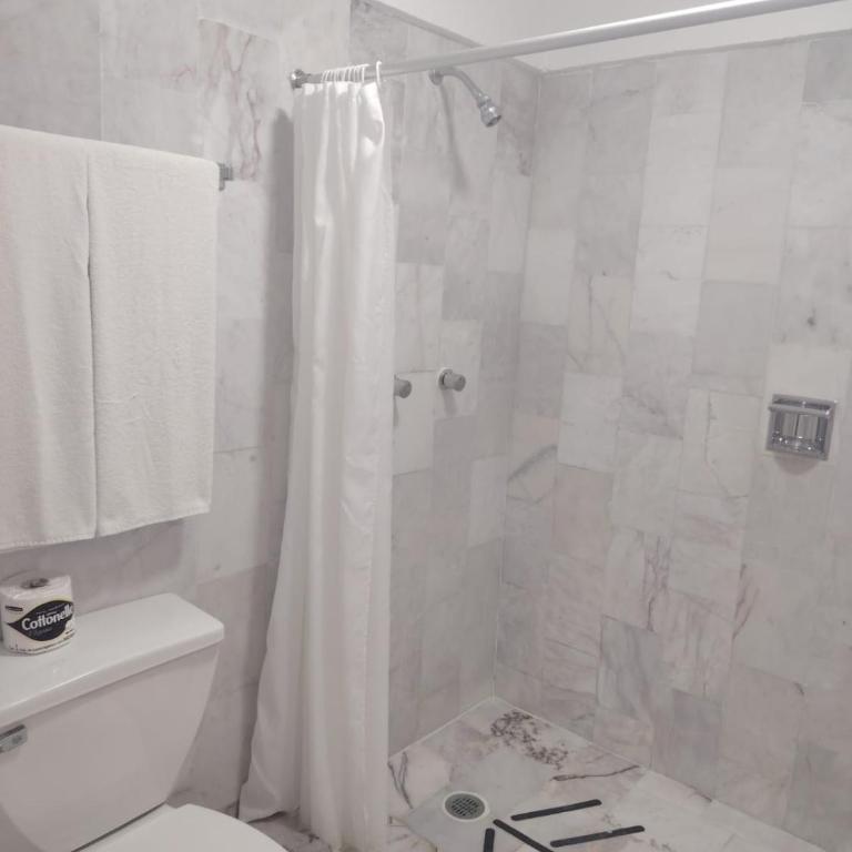 Coral Princess Hotel & Dive Resort - Superior Zimmer Dschungel-Abenteuer mit Kingsize-Bett - 15