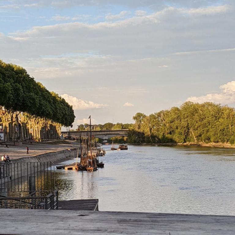 Peaceful accommodation close to Orléans city center - Apartamento de 2 dormitorios - 28