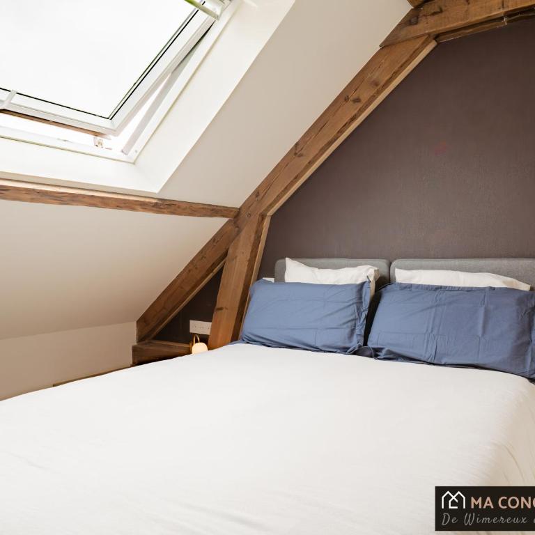 MAISON BLEUE, Apparts'hôtel Premium en Vieille-Ville - Two-Bedroom Apartment - 50