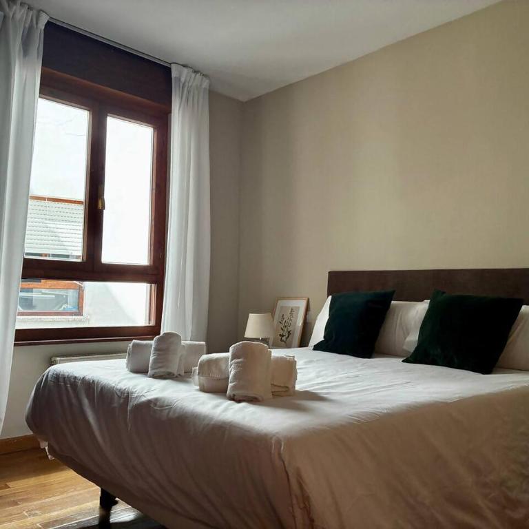 Apartamento en el corazón de los Picos de Europa - Apartamento de 3 dormitorios - 6