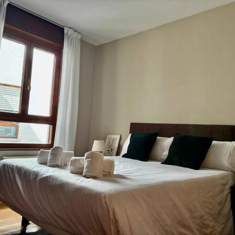 Apartamento en el corazón de los Picos de Europa - Apartamento de 3 dormitorios - 7