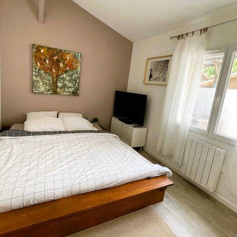 Maison familiale les pieds dans l'eau au Moutchic - Three-Bedroom Home - 2