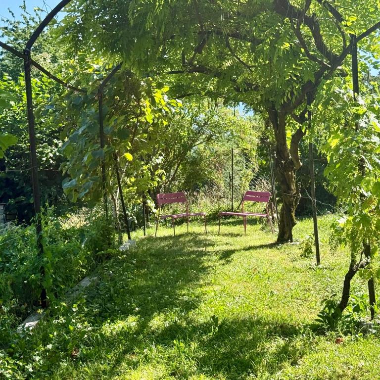 Maison 6 pers - Bain nordique, Clim & Jardin - Haus mit 3 Schlafzimmern - 32