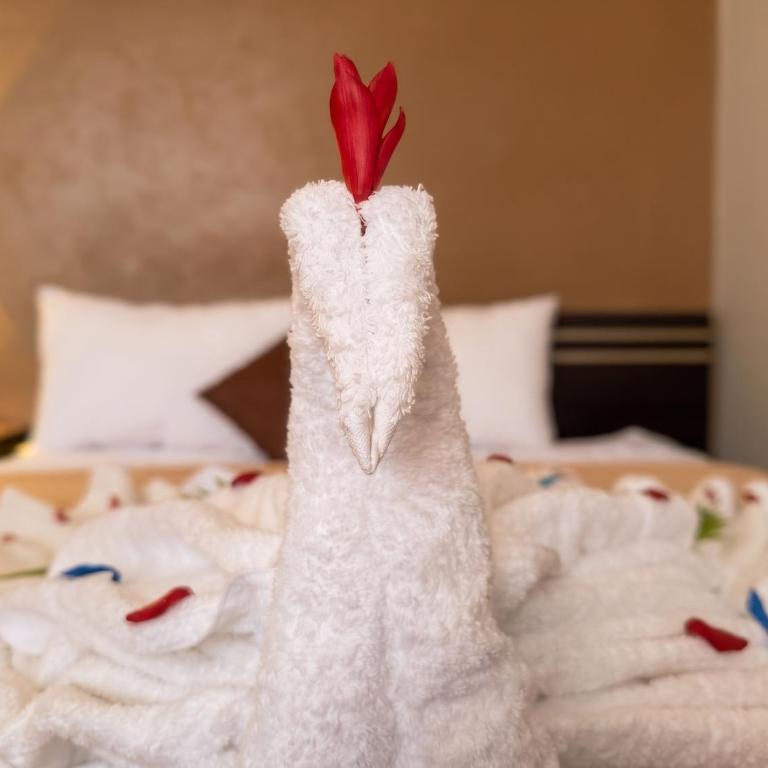 Confort Hotel Pichanaki - Standard Double Room - 2