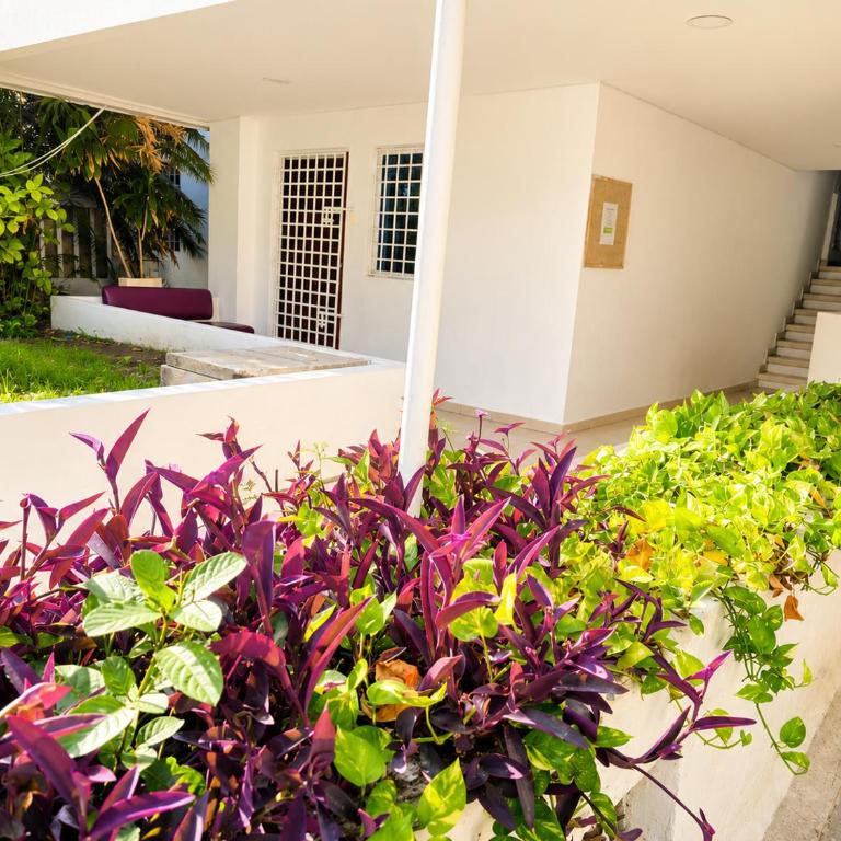 Apartamento Los Manglares - Three-Bedroom Apartment - 10