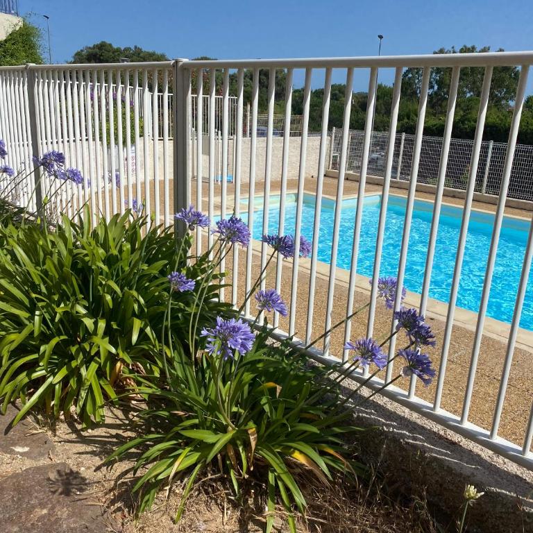 T1 - Presqu'île de Giens - La Tour Fondue - Apartment mit 1 Schlafzimmer - 48