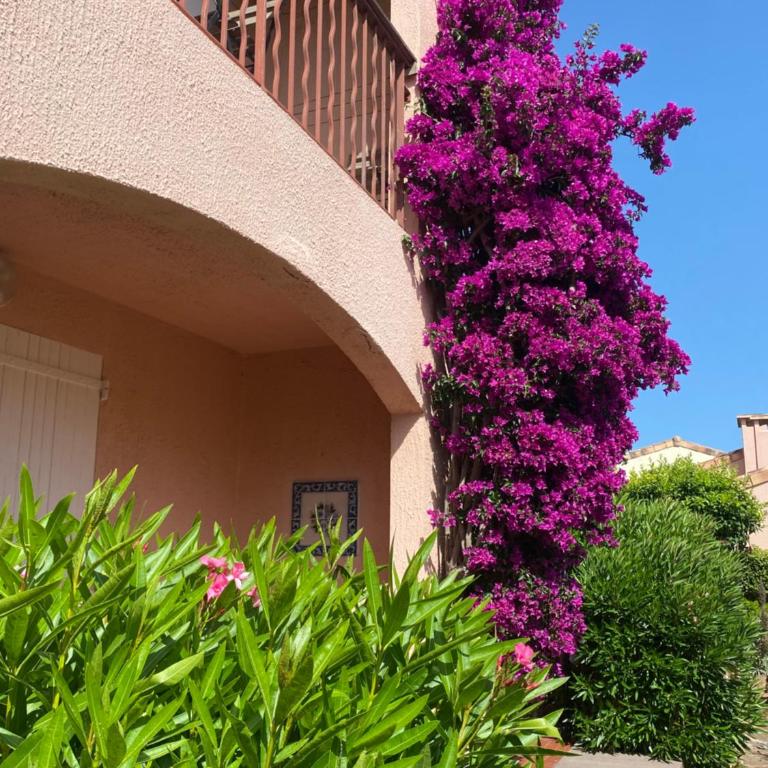 T1 - Presqu'île de Giens - La Tour Fondue - Apartment mit 1 Schlafzimmer - 50