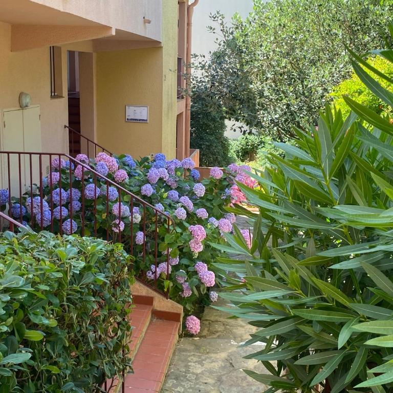 T1 - Presqu'île de Giens - La Tour Fondue - Apartment mit 1 Schlafzimmer - 51