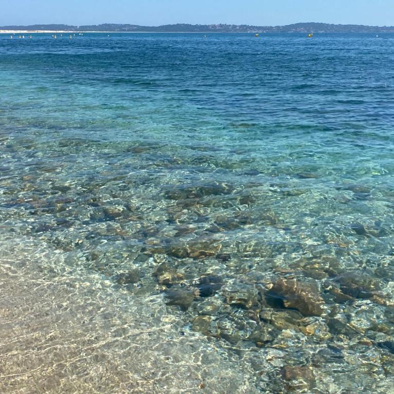 T1 - Presqu'île de Giens - La Tour Fondue - Apartment mit 1 Schlafzimmer - 52