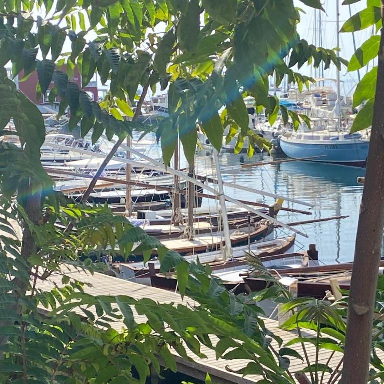 Villetta con giardino sulla Spiaggia della Pelosa - Casa con 2 Camere da Letto - 24