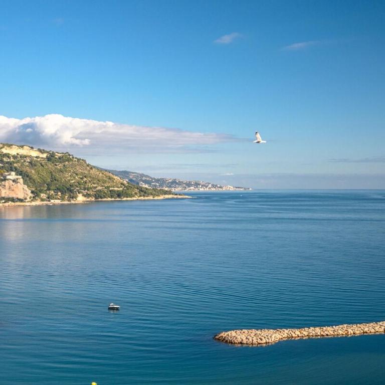 CHATEAU D'AZUR appartement vue mer vieille ville - Apartment - 51