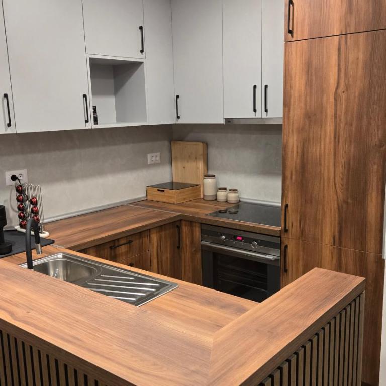 Apartman VOJVODA - Apartment mit 1 Schlafzimmer - 9