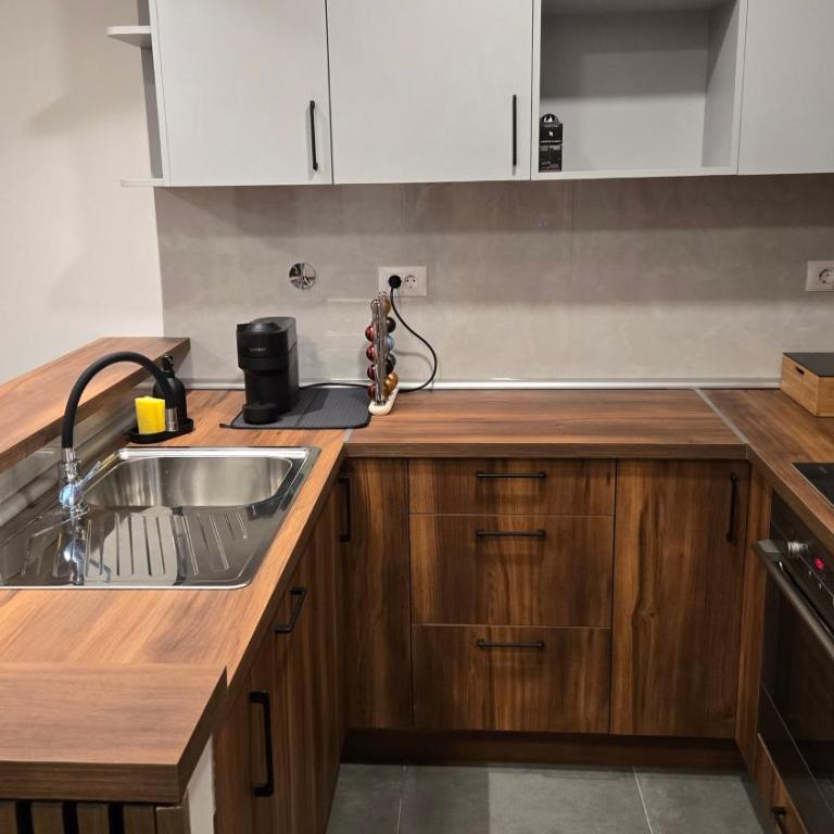 Apartman VOJVODA - Apartment mit 1 Schlafzimmer - 11