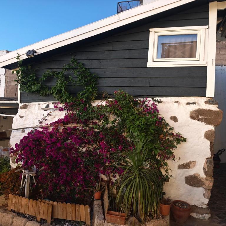 La Casita - Haus mit 1 Schlafzimmer - 4