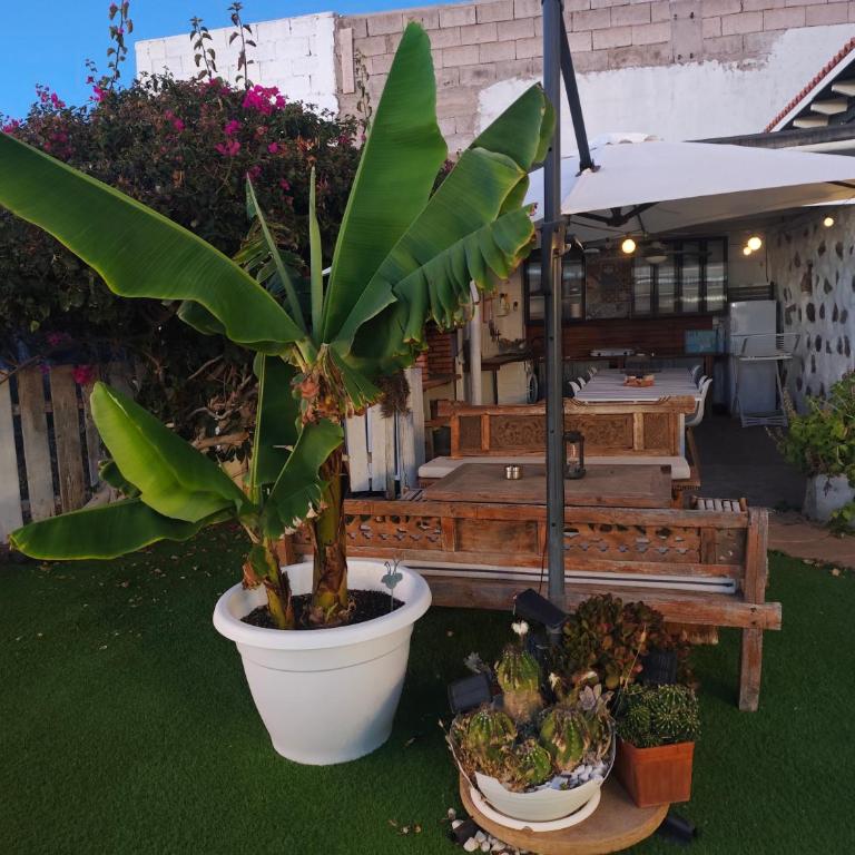 La Casita - Haus mit 1 Schlafzimmer - 45