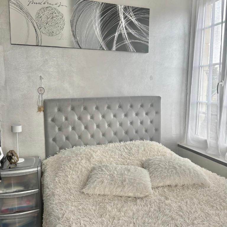 appartement cocooning,proche centre et gare - Appartement 1 Chambre - 7