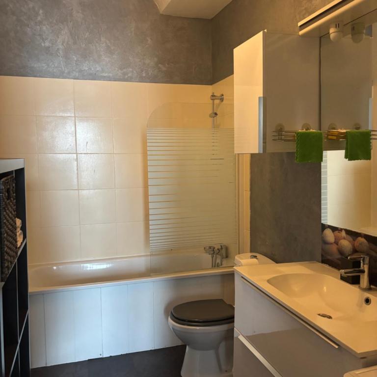 appartement cocooning,proche centre et gare - Appartement 1 Chambre - 9