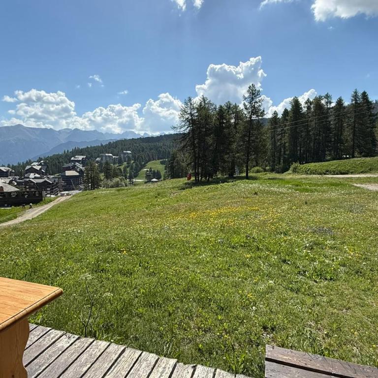 Deux chalets communicants sur les pistes 10 pers Risoul 1850 - Chalet - 11