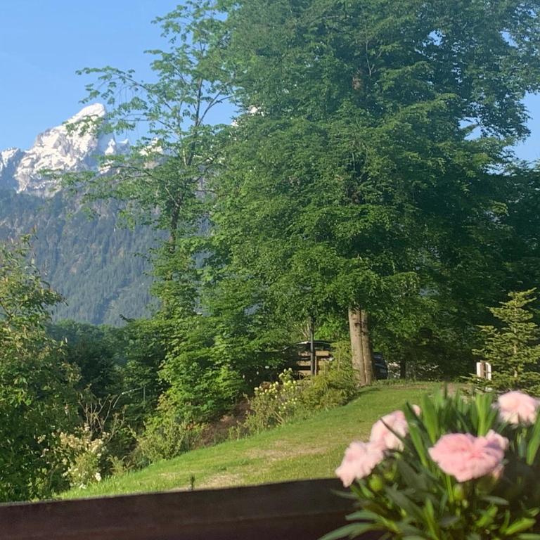 Alpenvilla Berchtesgaden Appartements - Apartment mit 1 Schlafzimmer - 2